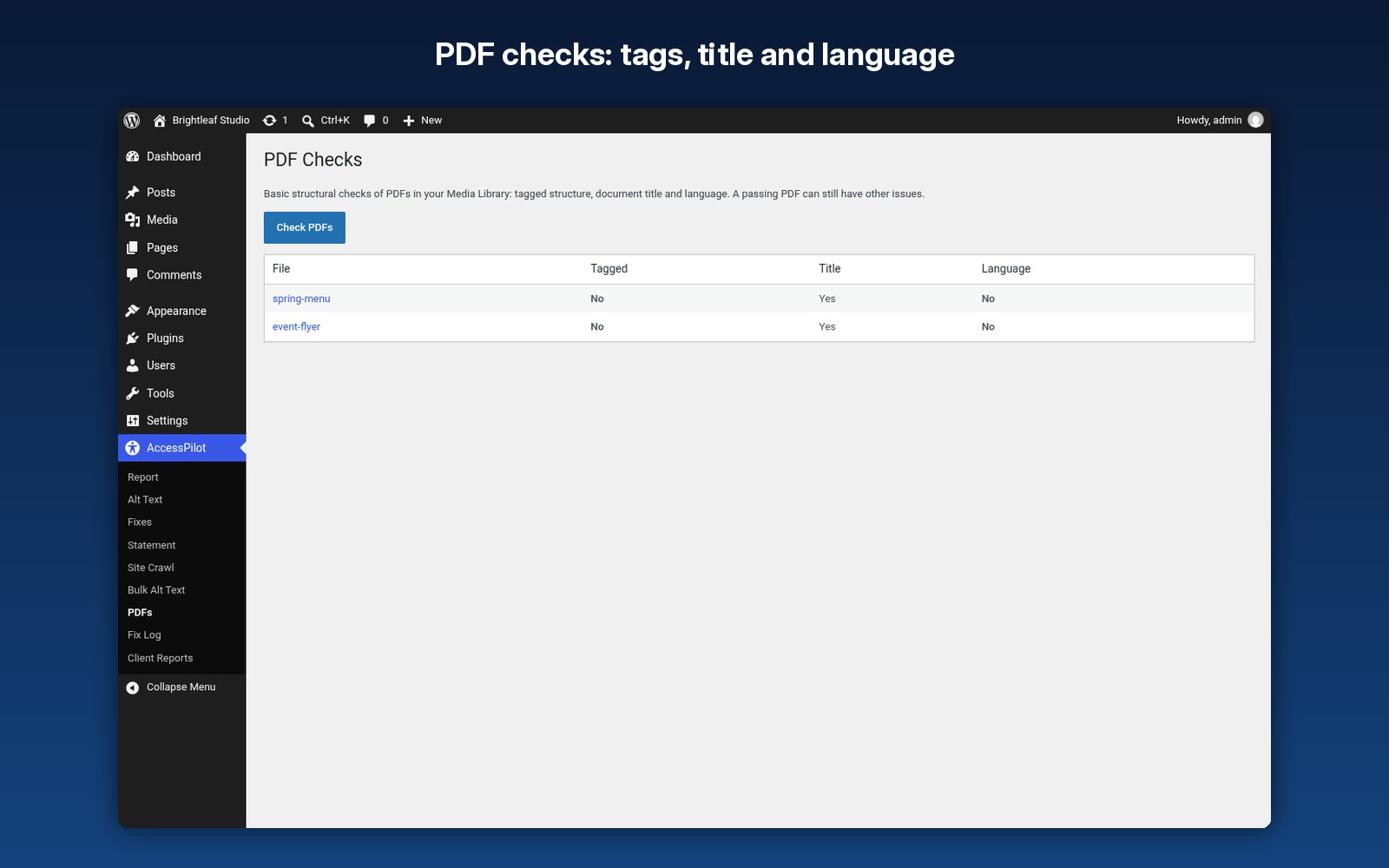 PDF checks: tags, title and language