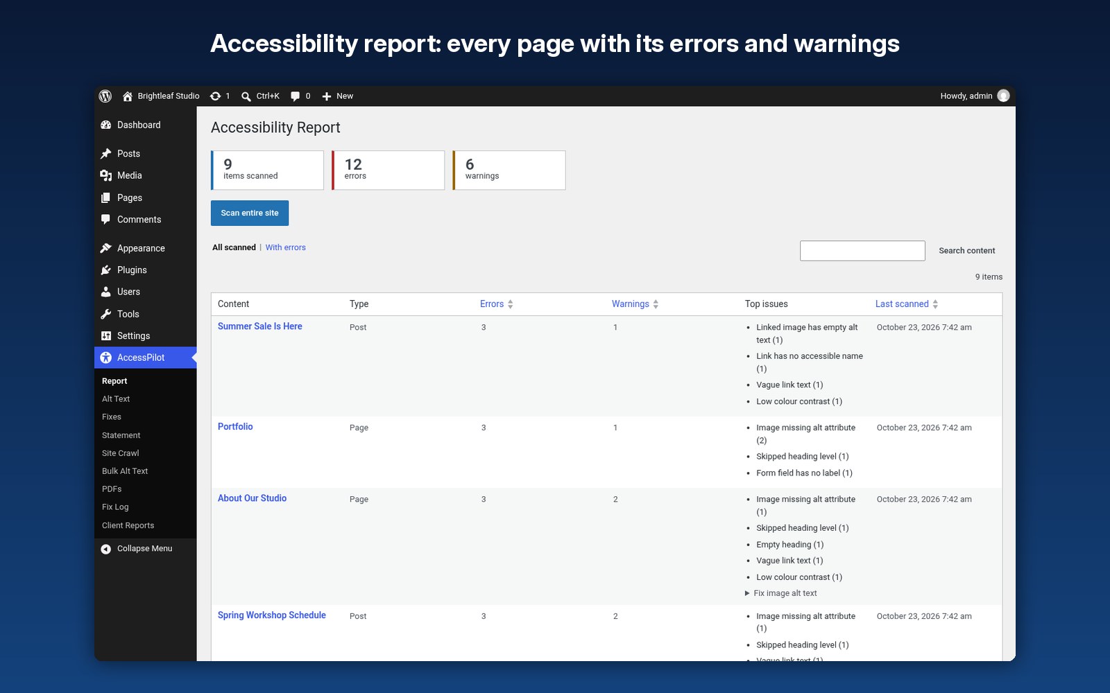 Accessibility report: every page with its errors and warnings