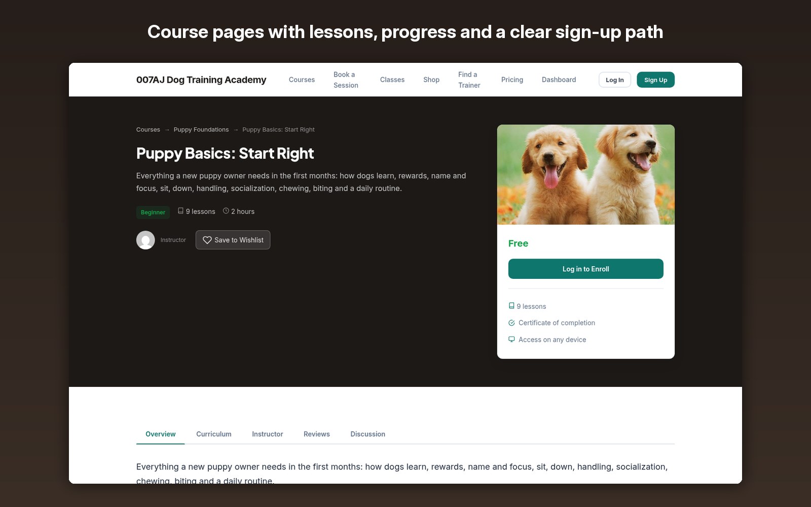 Course pages with lessons, progress and a clear sign-up path