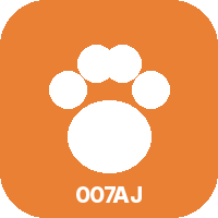 Dog Training Academy icon