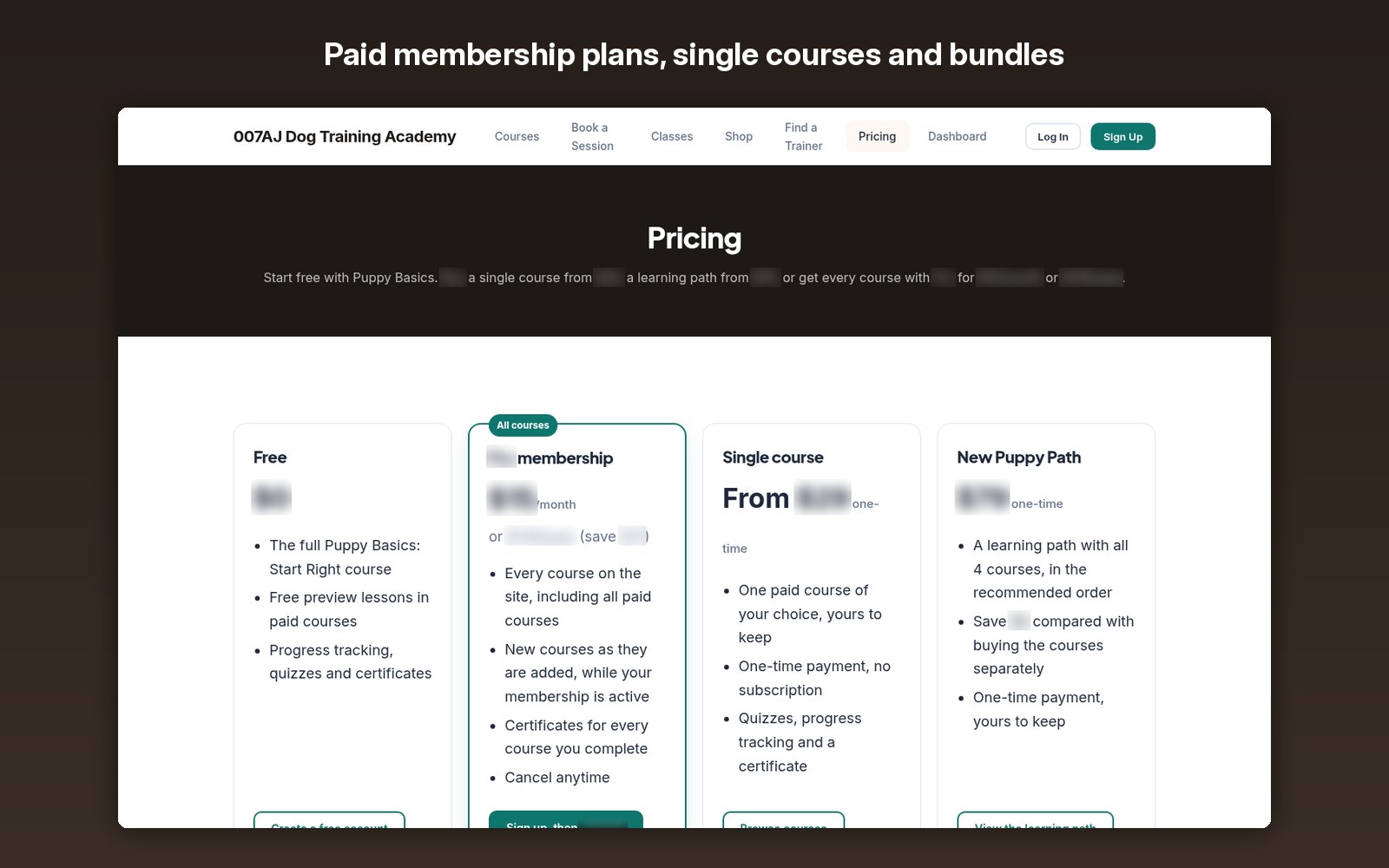 Paid membership plans, single courses and bundles