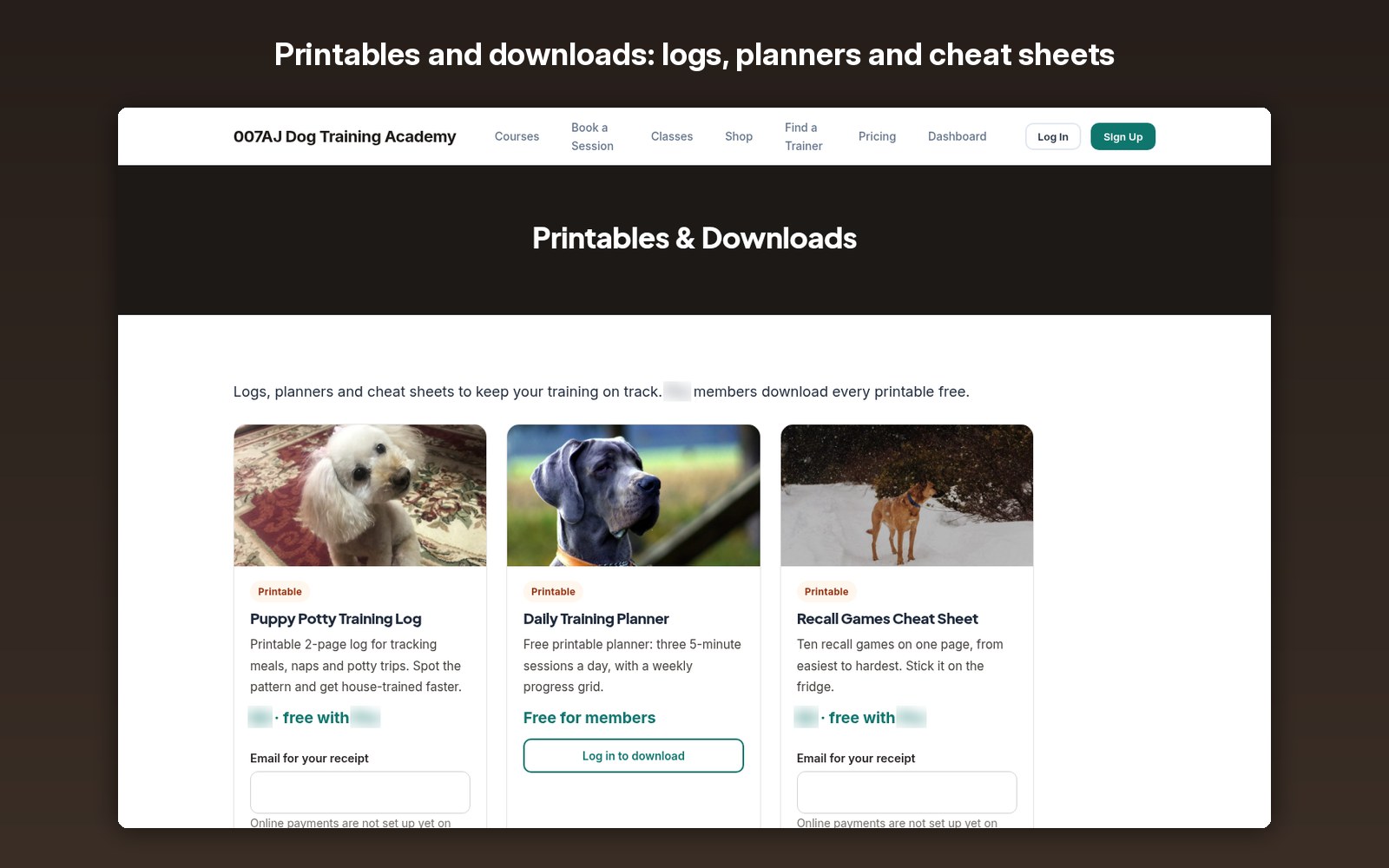 Printables and downloads: logs, planners and cheat sheets