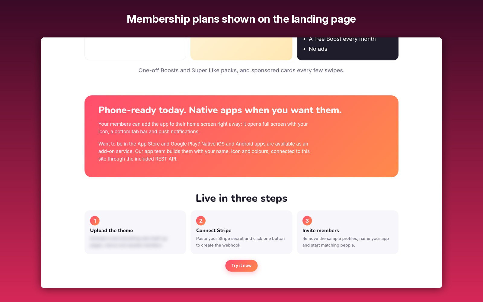 Membership plans shown on the landing page