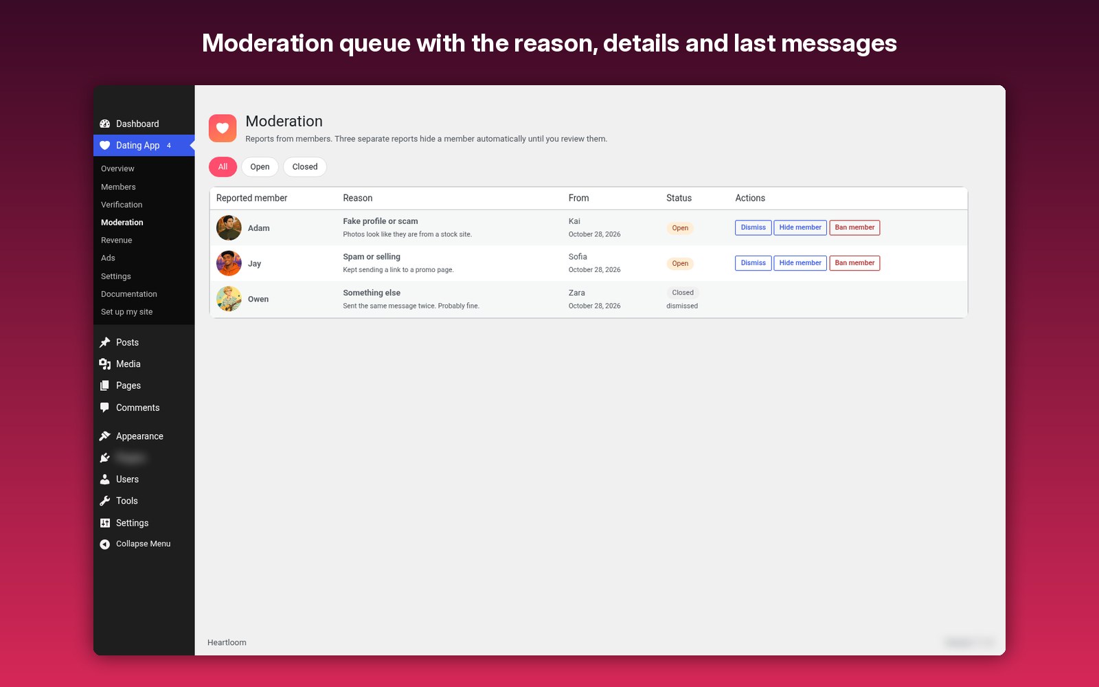 Moderation queue with the reason, details and last messages
