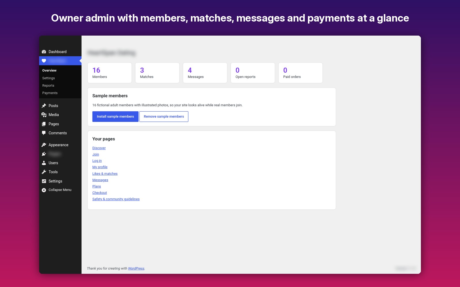 Owner admin with members, matches, messages and payments at a glance