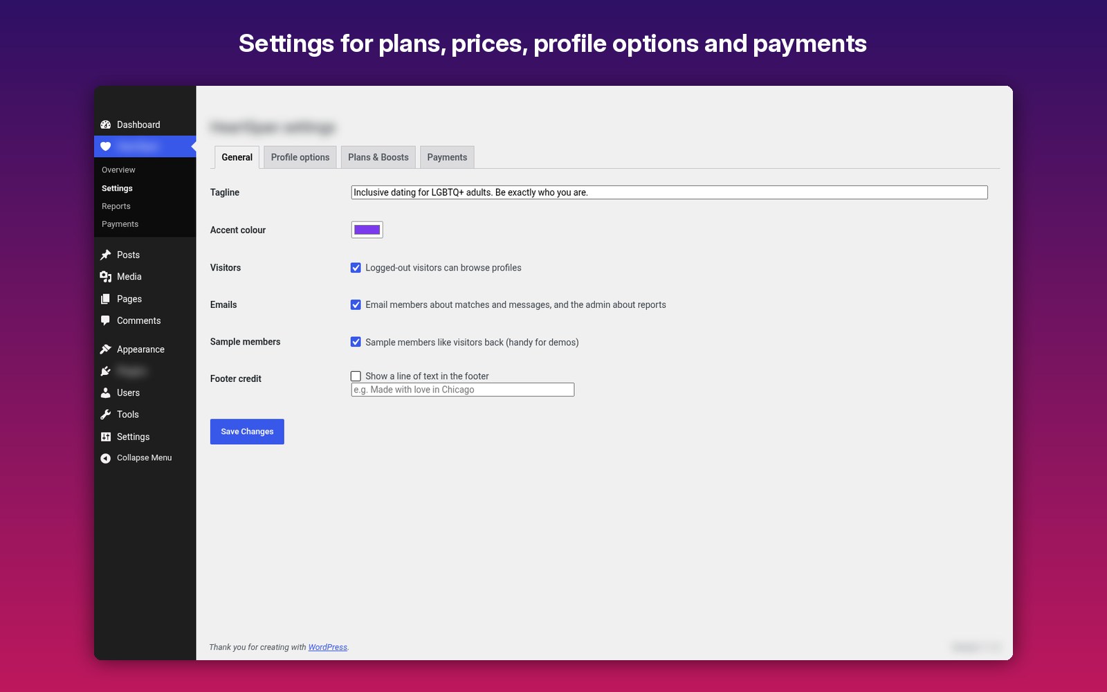 Settings for plans, prices, profile options and payments